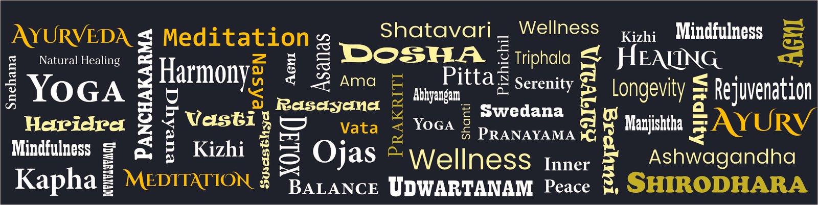 Customised Wellness Programs for your unique needs ayurvedas