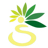 logo shantitheeram ayurveda yellow1