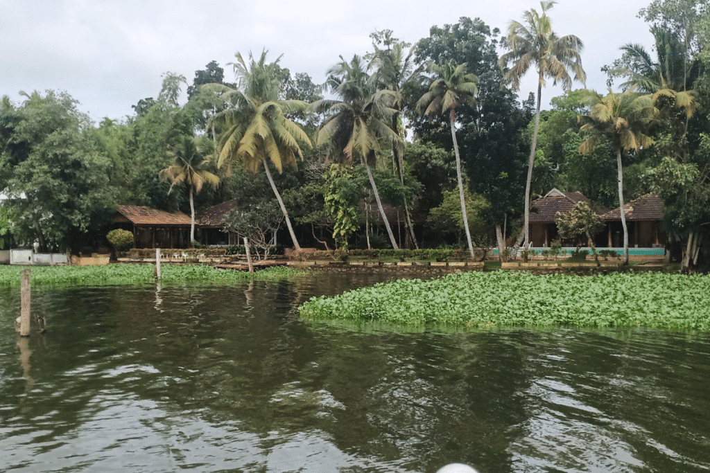 kerala backwaters ayurveda resort kerala backwaters ayurveda resort